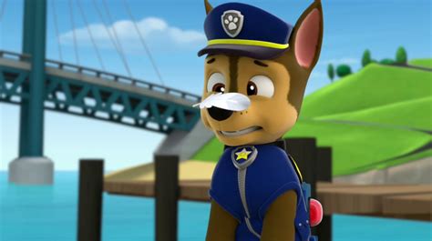 patrulha canina chase|chase paw patrol trivia.